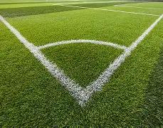 神奇复苏,桑德罗王者,归来,亚博体育,亚博体育官网,亚博体育app,亚博体育下载